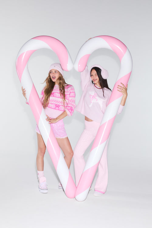 PINK x LoveShackFancy Crew Boxy Full Sleeve Dog Sweater