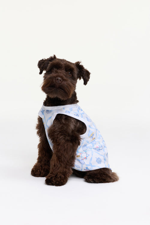 LoveShackFancy x Roller Rabbit Starry Nights Lattice Dog Pajamas