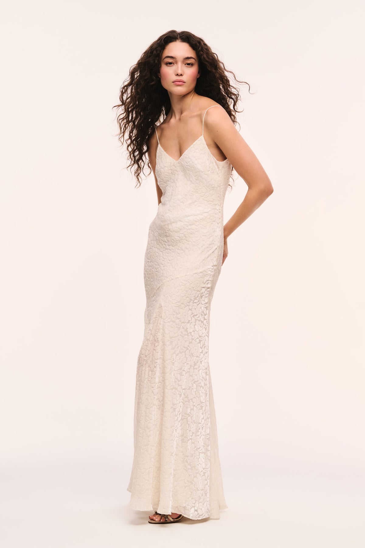 Avreth Burnout Velvet Maxi Dress