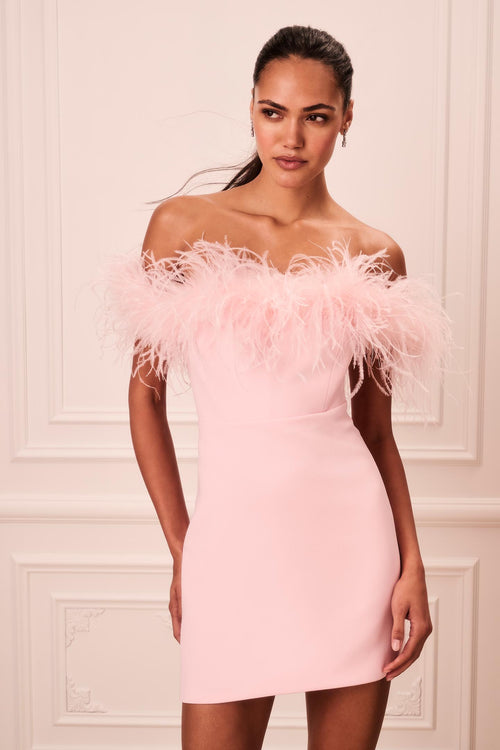 Elessa Feather-Trimmed Mini Dress