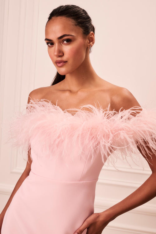 Elessa Feather-Trimmed Mini Dress