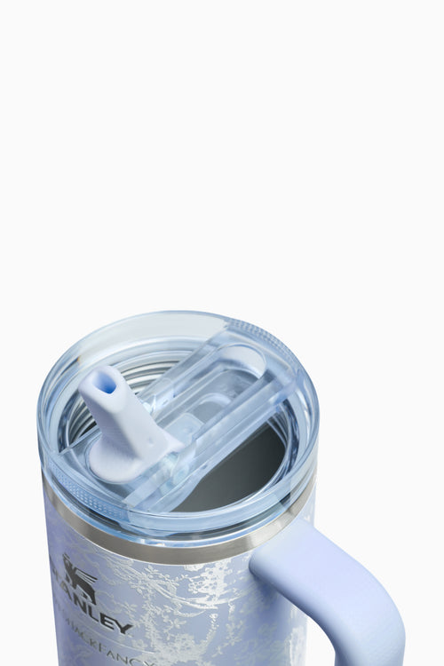 Stanley 1913 Quencher ProTour Flip Straw | 20 OZ in Toscana Toile