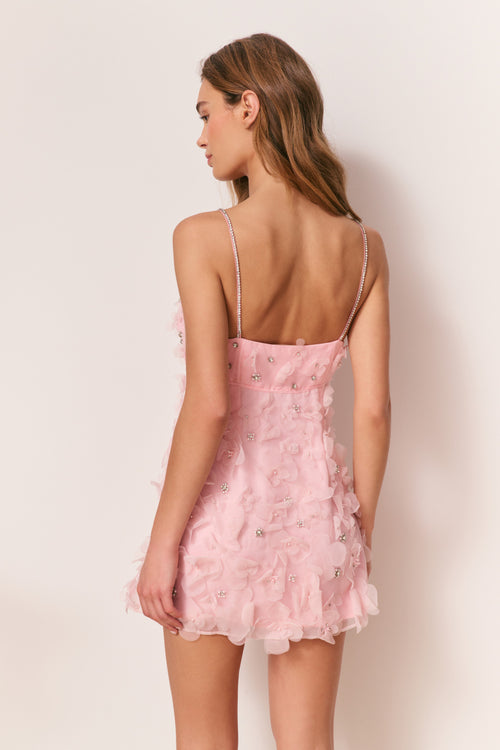 Ambessa Embellished Organza Mini Dress