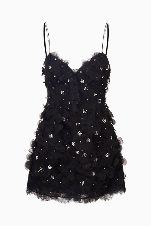 Ambessa Embellished Organza Mini Dress