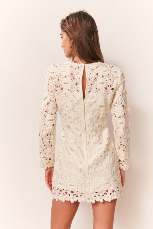 Caletta Floral Embroidered Lace Mini Dress