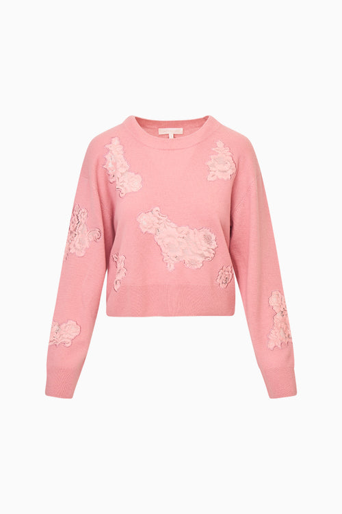 Lazuli Cashmere & Lace Sweater