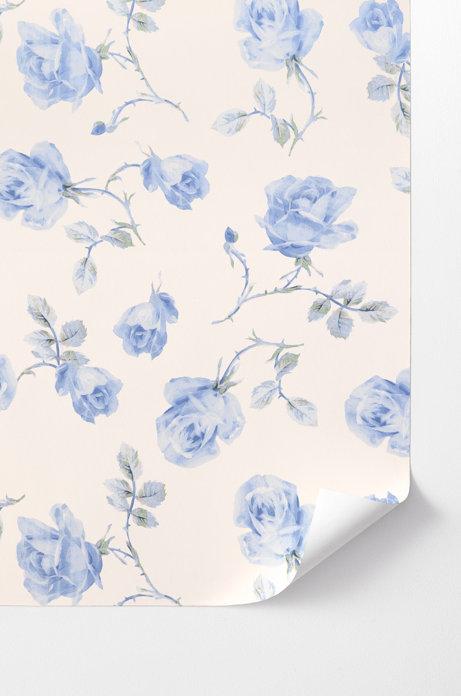 Introducing a delicate rose print wallpaper featuring an antique white background. This wallpaper exudes elegance with its large, intricately detailed blue roses.