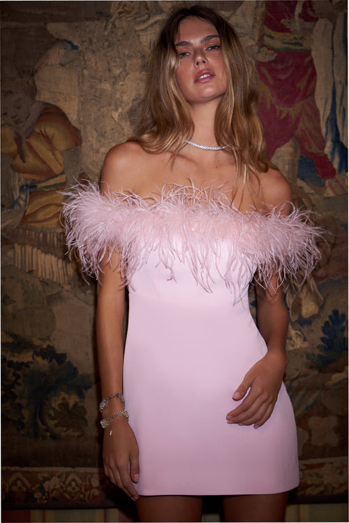 Elessa Feather-Trimmed Mini Dress
