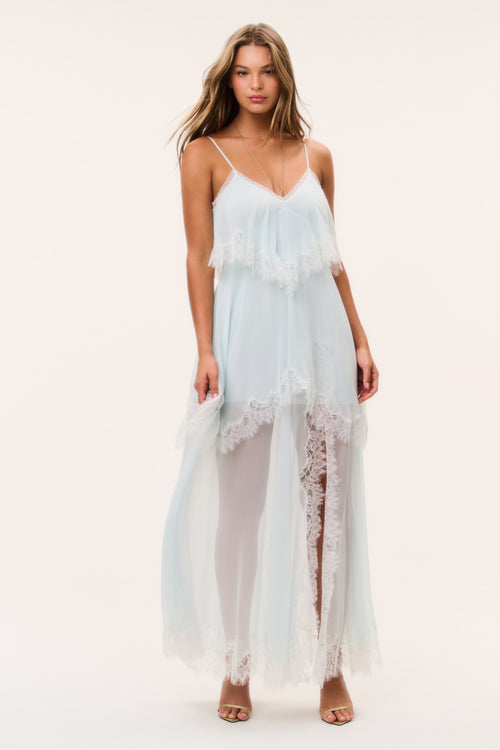 Toby Silk Chiffon Maxi Dress