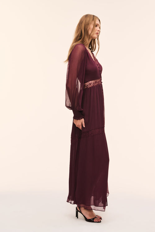 Vionara Sheer Silk Maxi Dress
